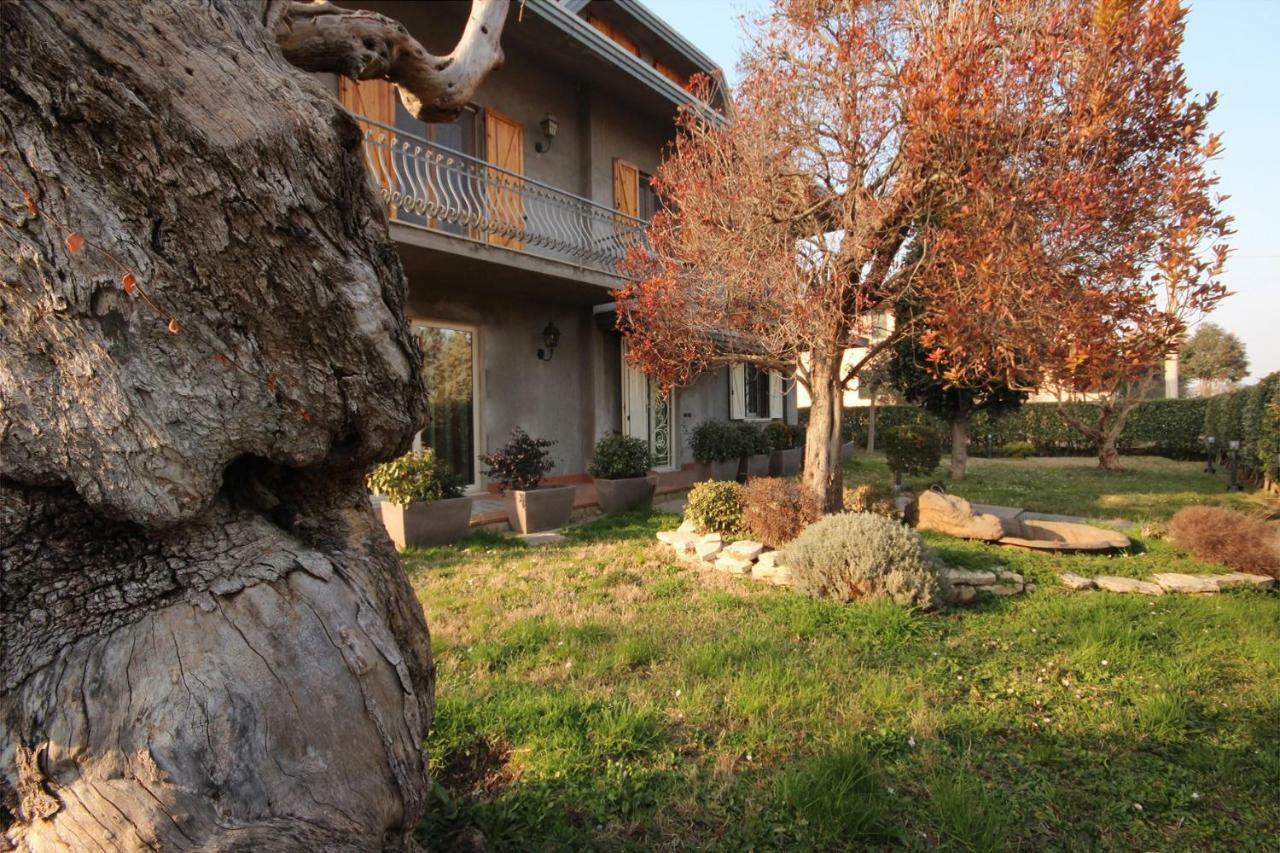 Hotel Magnolia à Savignano sul Rubicone Extérieur photo